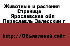  Животные и растения - Страница 15 . Ярославская обл.,Переславль-Залесский г.